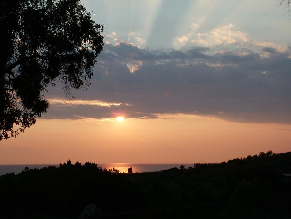 Residence La Giungla Falerna Εξωτερικό φωτογραφία